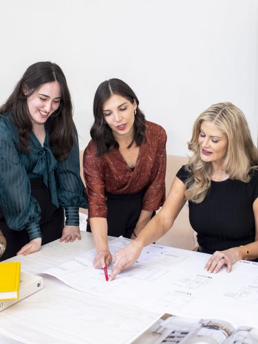Owner's Representation Services - Laura U Design Collective
