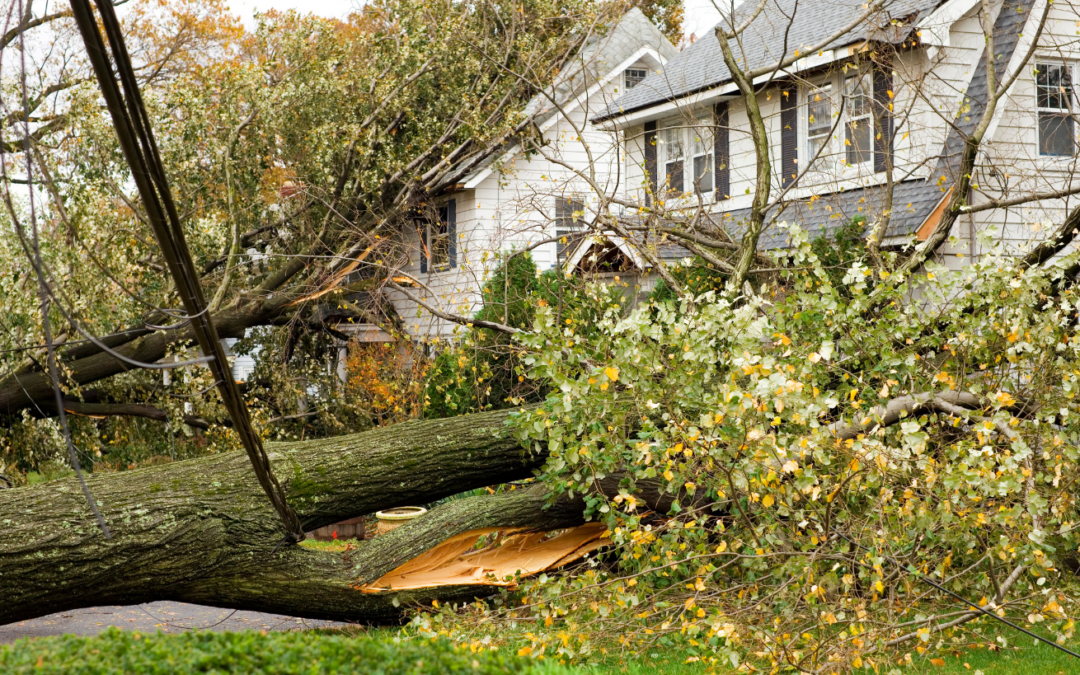 Hurricane-Proof Homes: Home Hardening Tips for Hurricane Season